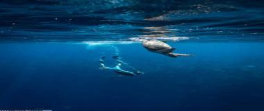 全程赛事跟踪与分析系统