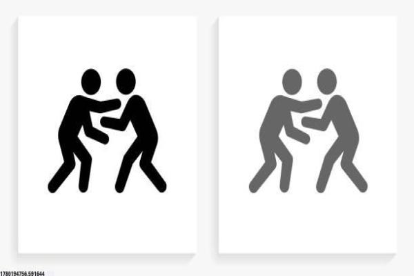 体育专家交流培训会总结与回顾